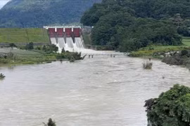 Cận cảnh gói thầu xe ô tô tại DHD: Cuộc đấu giá của hai "ông lớn" ô tô