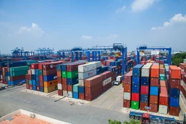 Thắng lớn ở Tân Cảng Sài Gòn, Công ty Anh Minh vẫn là 'ẩn số' đấu thầu