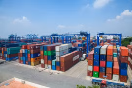 Thắng lớn ở Tân Cảng Sài Gòn, Công ty Anh Minh vẫn là 'ẩn số' đấu thầu