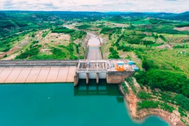 Hệ sinh thái nhà thầu tại các dự án thủy điện: Khi đối thủ hóa đối tác [Kỳ 4] 