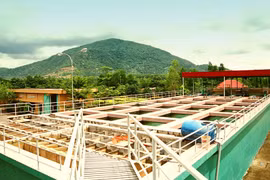 Cấp nước Long An: Chỉ định 5/7 gói thầu cho Kỹ Thuật Á Châu