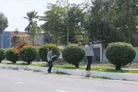 Đông Triều: Gói thầu cây xanh hơn 4,5 tỷ đồng vừa mở thầu đã bị tố gây hạn chế