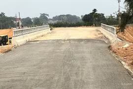 Đại Huy Hoàng trúng thầu lớn: Đối thủ liên tục bị loại