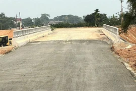 Đại Huy Hoàng trúng thầu lớn: Đối thủ liên tục bị loại