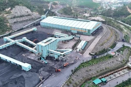 Than Hòn Gai - TKV: Liên danh An Bình - Môi trường Hạ Long trúng thầu hơn 24 tỷ đồng 