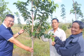 Đất có sổ đỏ vẫn bị thu hồi nếu vi phạm pháp luật về đất đai