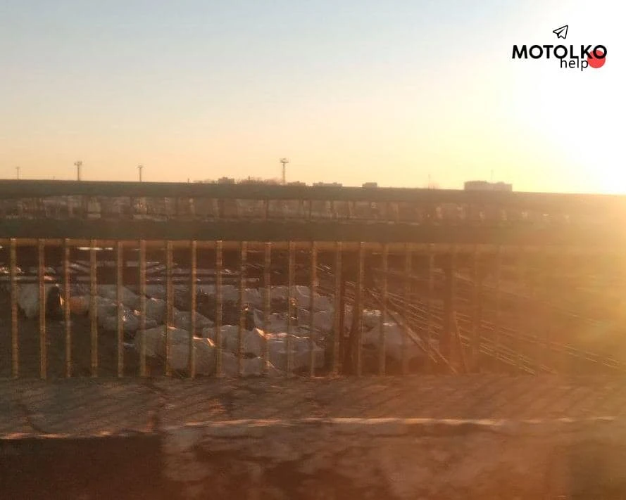 Xe tăng Nga ngụy trang được phát hiện ở biên giới với Ukraine