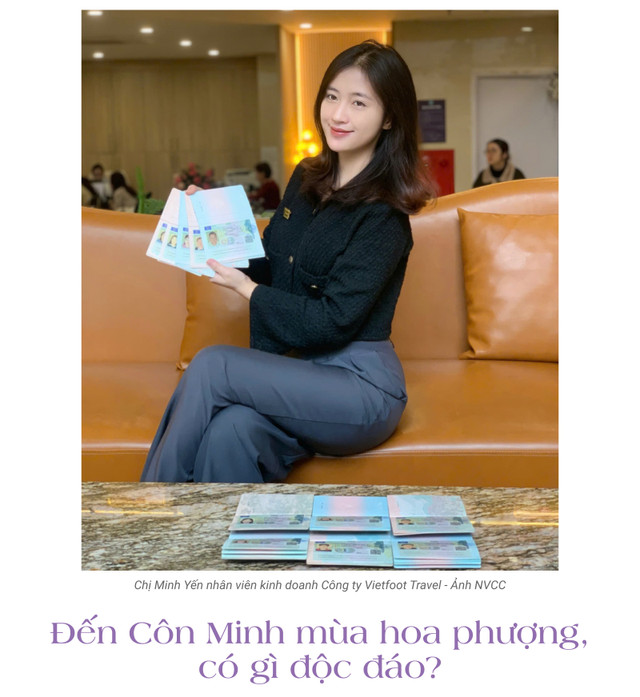 Hoa phượng tím đẹp rực rỡ ở Côn Minh hút du khách - Hình 4 Hoa phuong tim dep ruc ro o Con Minh hut du khach-Hinh-4