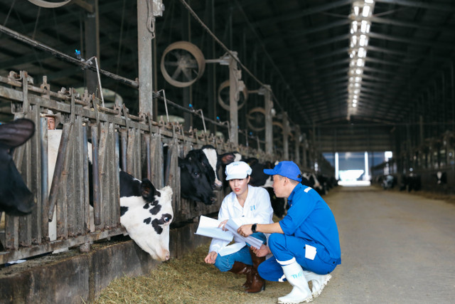 TH true MILK: “Kỳ tích” của công nghệ cao trên miền đất khắc nghiệt - Hình 4 TH true MILK: “Ky tich” cua cong nghe cao tren mien dat khac nghiet-Hinh-4