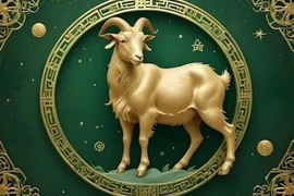 Phượng Hoàng tái sinh, 3 con giáp càng già càng giàu có