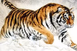 Từ 23 - 31/7, 3 con giáp tài lộc bủa vây, cứ thế mà giàu