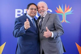 Việt Nam sẽ tham gia Hội nghị thượng đỉnh BRICS mở rộng