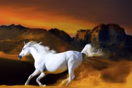 Trước Tết Đoan Ngọ, 3 tuổi ăn lộc Tổ Tiên, giàu khó cản