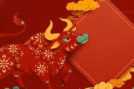 Năm 2026, 3 con giáp mang phúc lộc... thăng tiến vượt bậc