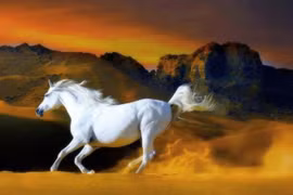 Từ tháng 10 Âm đến cuối 2025, 3 con giáp tiền tình rực rỡ