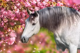 15 ngày tới, 3 con giáp đón mưa tài lộc... giàu hơn Thần Tài