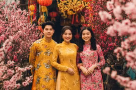 28 lời chúc mừng năm mới Bính Ngọ 2026 đầy ý nghĩa, sâu sắc