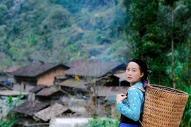 Vàng Thị Dế và hành trình đưa vải lanh Mông ra thế giới