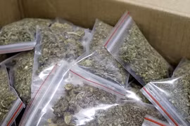 Công an Quảng Ninh triệt phá đường dây ma túy đặc biệt lớn