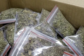 Công an Quảng Ninh triệt phá đường dây ma túy đặc biệt lớn