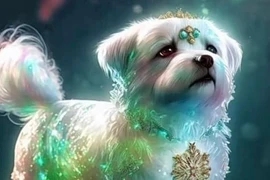 7 ngày tới, 3 con giáp bất ngờ đổi đời... ai may mắn nhất?