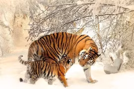 Sau Trung thu, 3 con giáp tài lộc đủ đầy, 1 tuổi tình duyên viên mãn