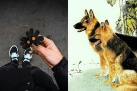 Nửa cuối 2025, ba con giáp vận đen đeo bám, dễ trắng tay