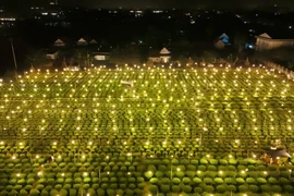1 làng ở Quảng Ngãi thắp cả triệu bóng đèn, biến 'đêm thành ngày'