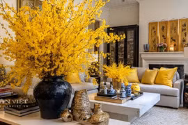 6 cây cảnh chứa 'vàng', trưng trong nhà tiền về nườm nượp