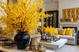 6 cây cảnh chứa 'vàng', trưng trong nhà tiền về nườm nượp