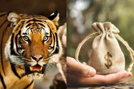 50 ngày cuối năm, 3 con giáp trúng vận vàng, Thần Tài gọi tên