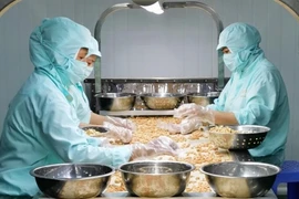 Ba nông sản Việt Nam cùng phá kỷ lục, dự báo đem về hơn 14 tỷ USD