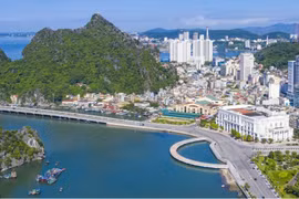 Tiếp tục xây dựng, chỉnh đốn Đảng toàn diện, kỳ vọng mới từ thực tiễn