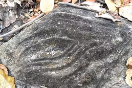 Những ký hiệu lạ khắc trên đá ở Yok Đôn có thể ẩn chứa thông điệp lịch sử gì?