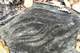 Những ký hiệu lạ khắc trên đá ở Yok Đôn có thể ẩn chứa thông điệp lịch sử gì?