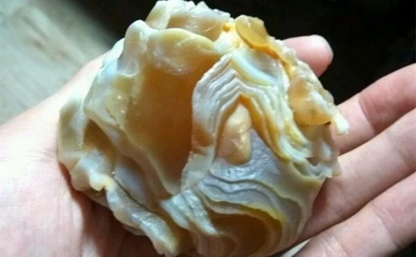 Đi rừng nhặt được viên “gân bò”, vỡ oà khi biết giá trị thật 