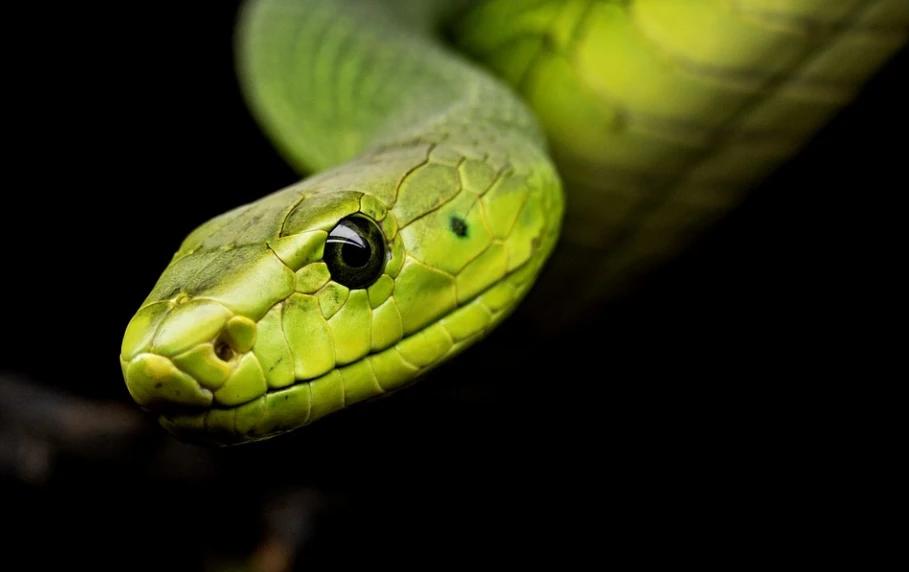 10 ngày tới đây, 3 con giáp có quý nhân dẫn đường, không lo nghèo đói 