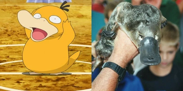 Quái vật trong loạt phim Pokemon lấy mẫu từ những loài vật nào?