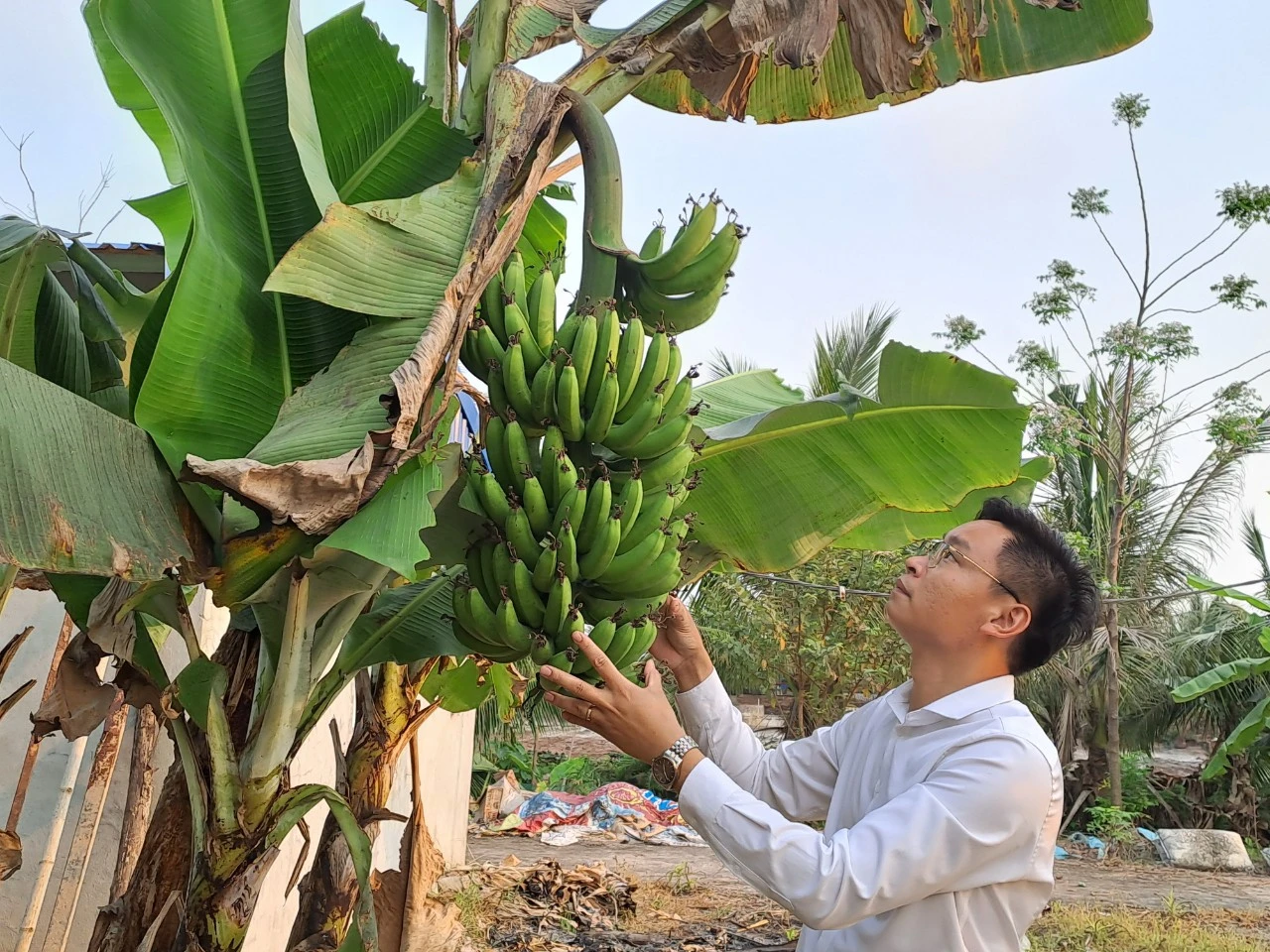 Nam giảng viên nghỉ dạy về làm nông nghiệp sạch, thu hàng chục tỷ mỗi năm