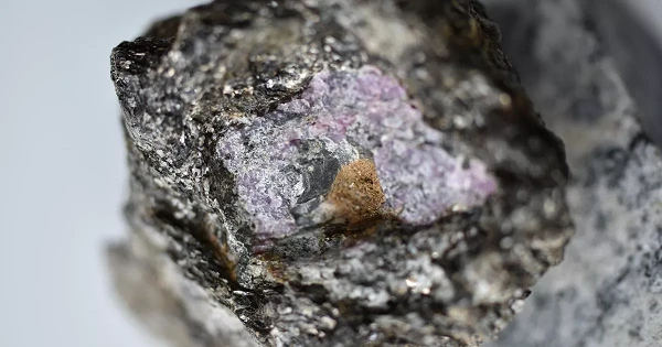 Bị thợ kim hoàn "chê", ai ngờ là viên ngọc quý nhất thế giới