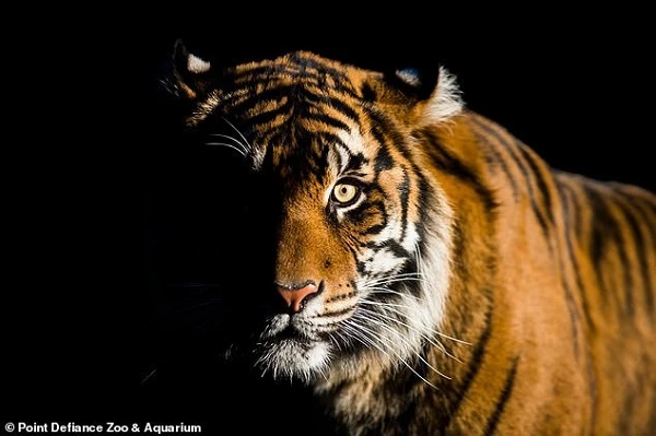 Giải mã những bí mật chưa từng hé lộ về “ông Ba Mươi”