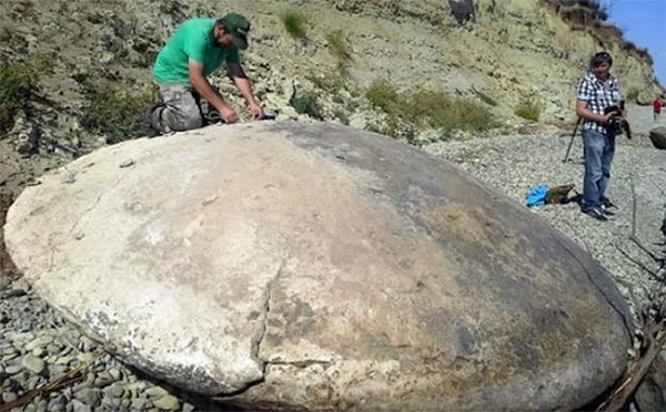 Phát hiện tảng đá hình đĩa bay, chuyên gia thốt lên: "Là của hiếm"! 