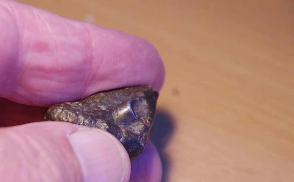 Bí ẩn thiên thạch bị nghi chứa dấu hiệu của người ngoài hành tinh 