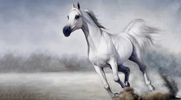 Tuần mới (15/8-21/8): 3 con giáp vướng phải xui xẻo, tài lộc ảm đạm