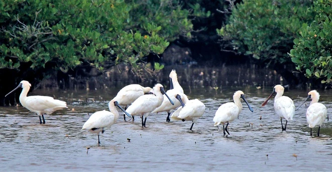 Vườn quốc gia nhỏ nhất Việt Nam và địa điểm nổi tiếng Nam Định