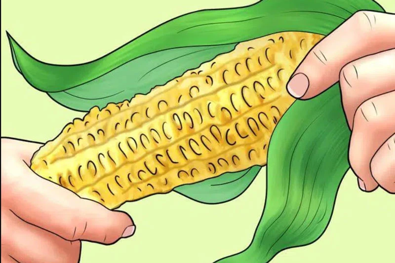 Những vật liệu kỳ quặc làm “giấy vệ sinh”, nghe thôi đã thấy nhói đau