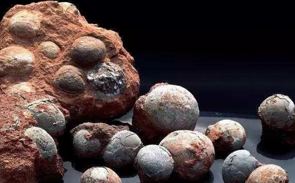 Dân thi nhau bán đá lạ giá 7 xu, chuyên gia đùng đùng nổi giận