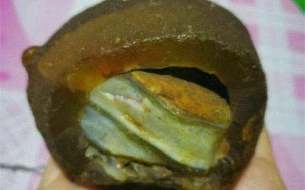 Tìm thấy “cục thịt” phát sáng, vỡ oà nhận ra là báu vật trời ban