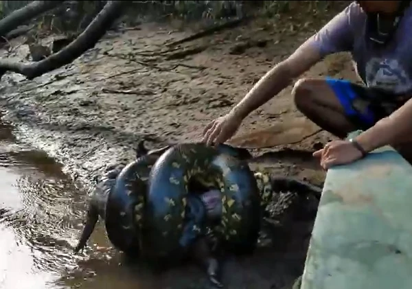 Bắt gặp “quả bóng thịt” bên bờ sông, thất kinh khi thấy nó động đậy