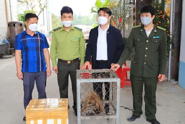 Người dân Hà Tĩnh tự nguyện giao nộp động vật rừng: Toàn loài nguy cấp!